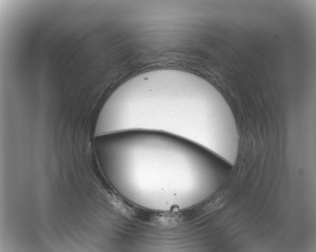 X0000066940466200603240939