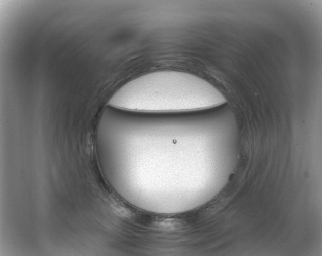 X0000066940467200603240939