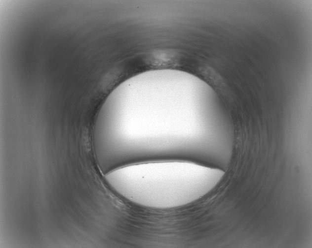 X0000066940469200603240939