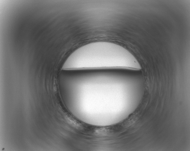 X0000066940470200603240939