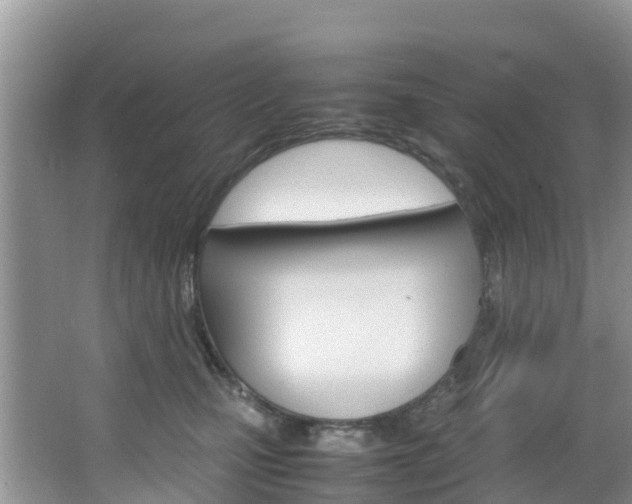 X0000066940471200603240939