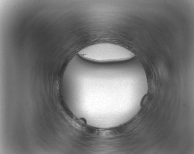 X0000066940472200603240939