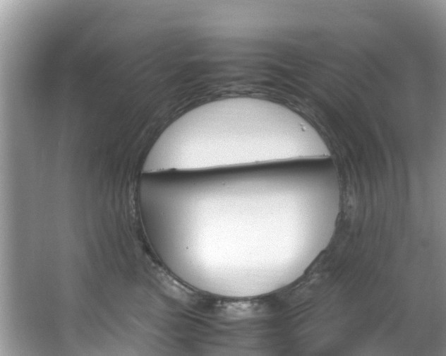 X0000066940473200603240939