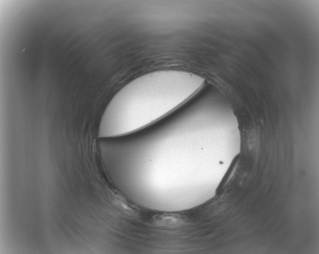 X0000066940475200603240939