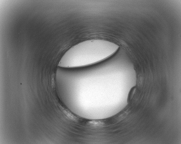 X0000066940477200603240939