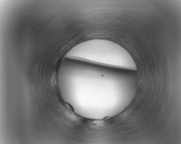 X0000066940478200603240939