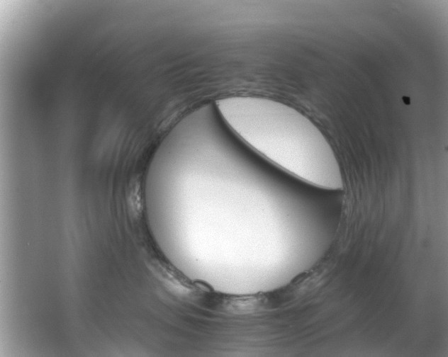 X0000066940479200603240939