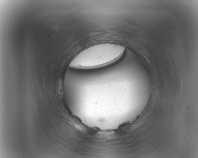 X0000066940480200603240939