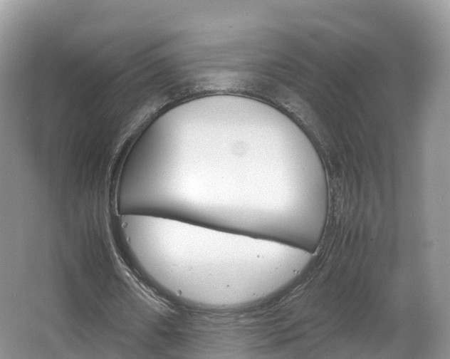 X0000066940482200603240938