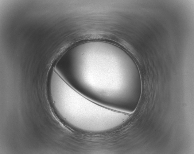 X0000066940485200603240938