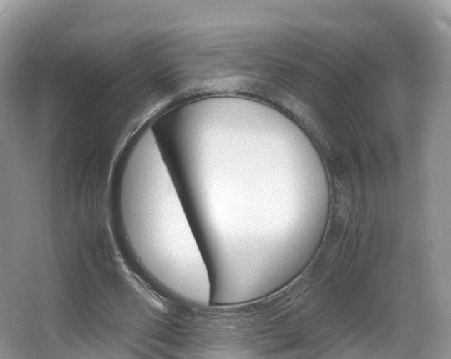 X0000066940486200603240938