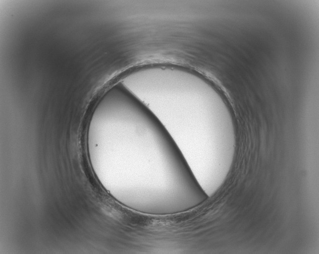 X0000066940487200603240938