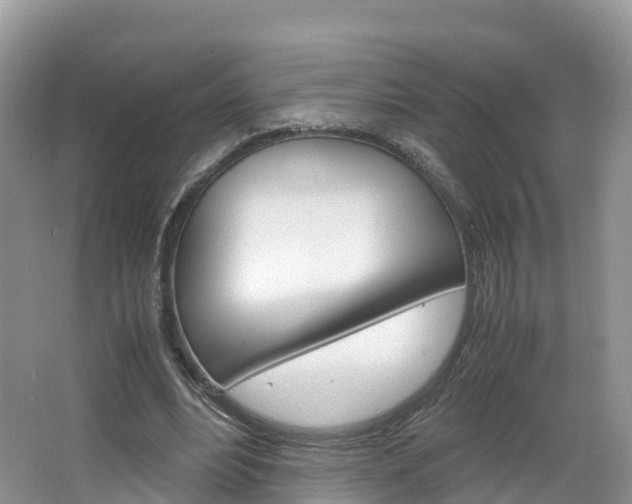 X0000066940488200603240938