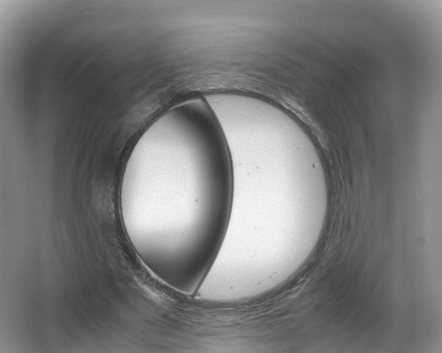 X0000066940489200603240938