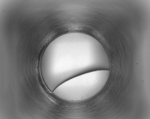 X0000066940490200603240938