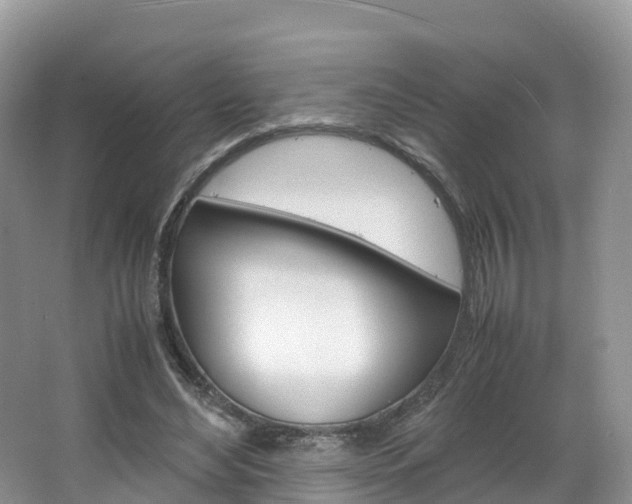X0000066940492200603240938