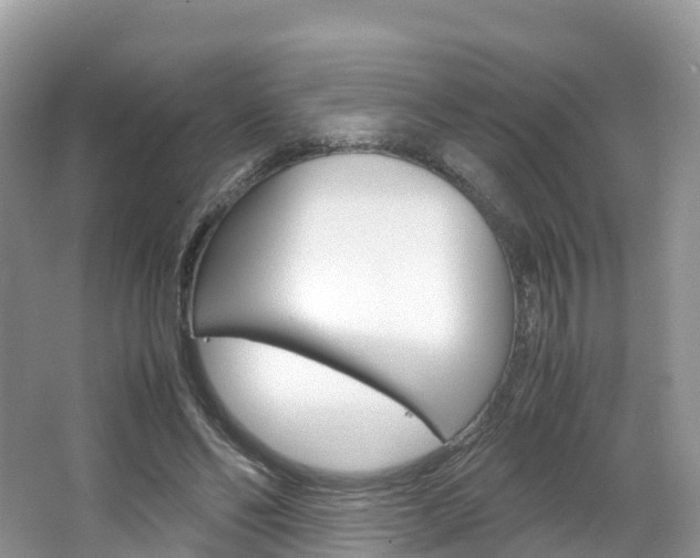 X0000066940494200603240938