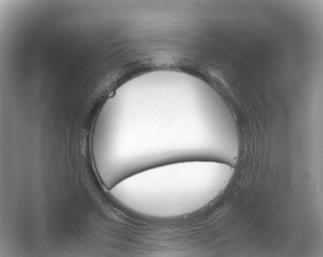 X0000066940495200603240938