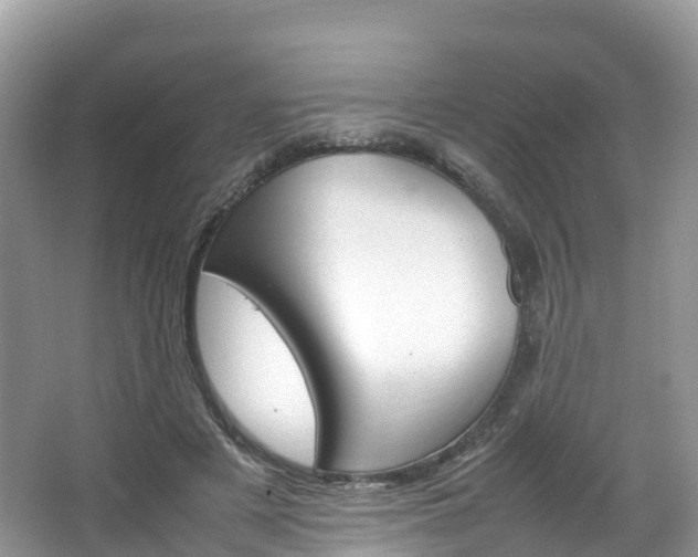 X0000066940497200603240938