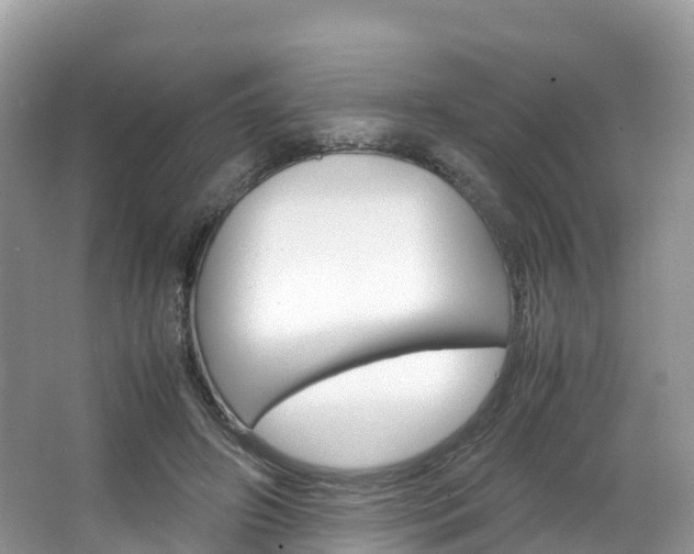 X0000066940498200603240938