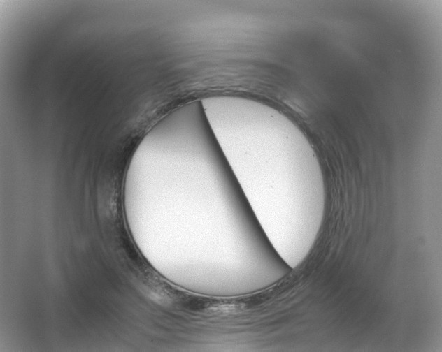 X0000066940499200603240938