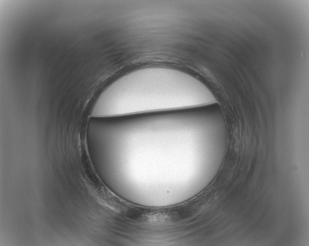 X0000066940500200603240938