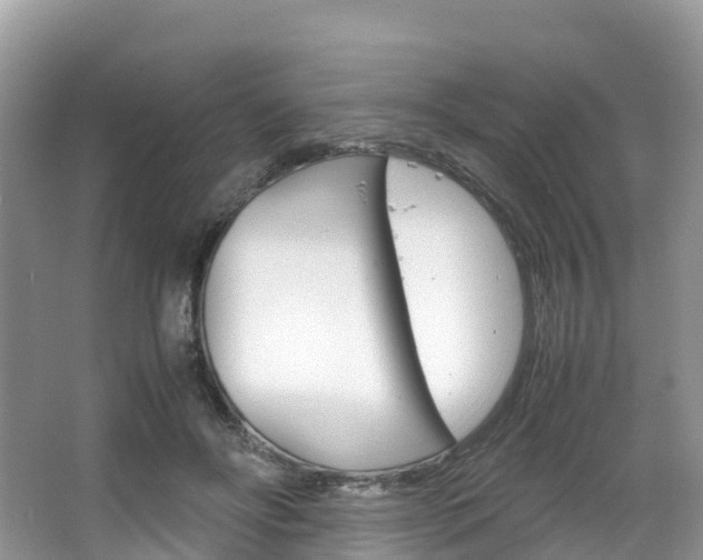 X0000066940502200603240938