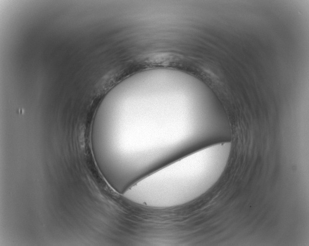 X0000066940504200603240938