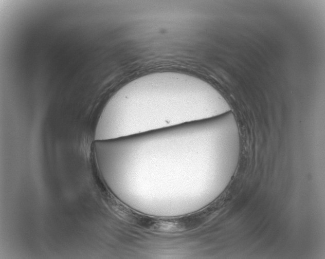 X0000066940507200603240938