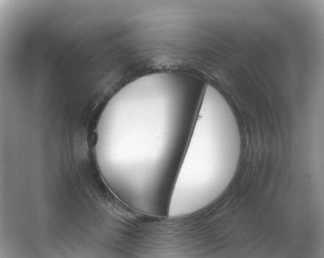 X0000066940508200603240938