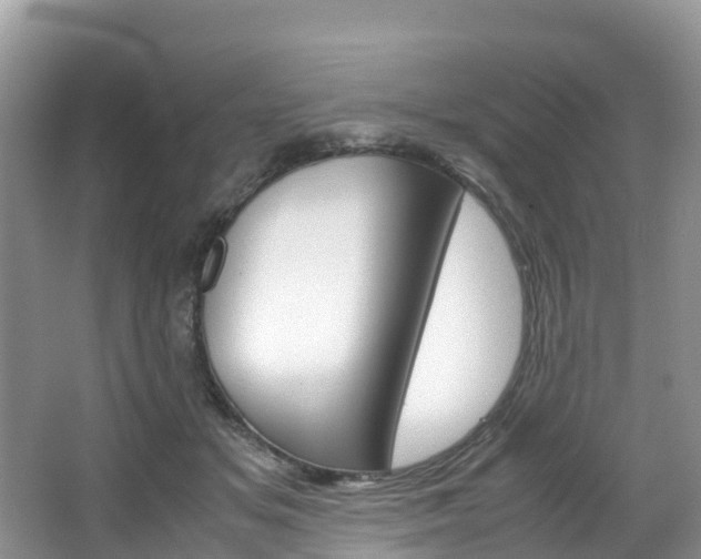 X0000066940509200603240938