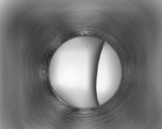 X0000066940510200603240938