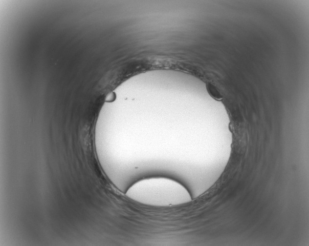 X0000066940511200603240938