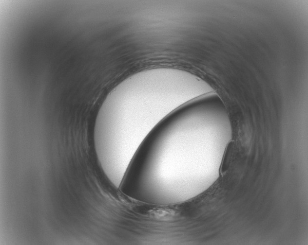 X0000066940512200603240938