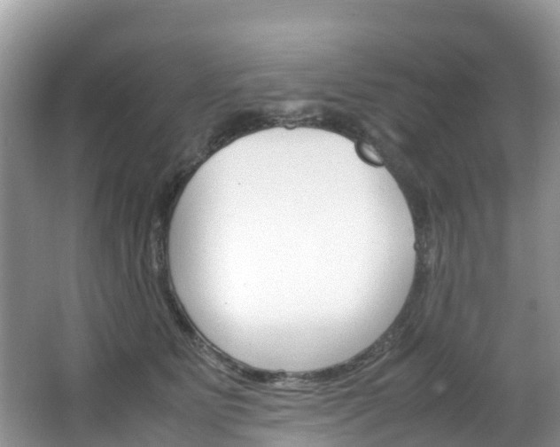 X0000066940515200603240938