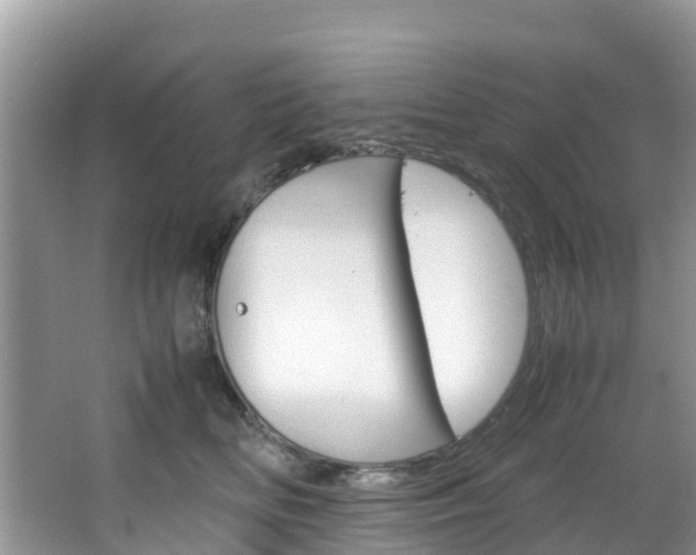 X0000066940518200603240938