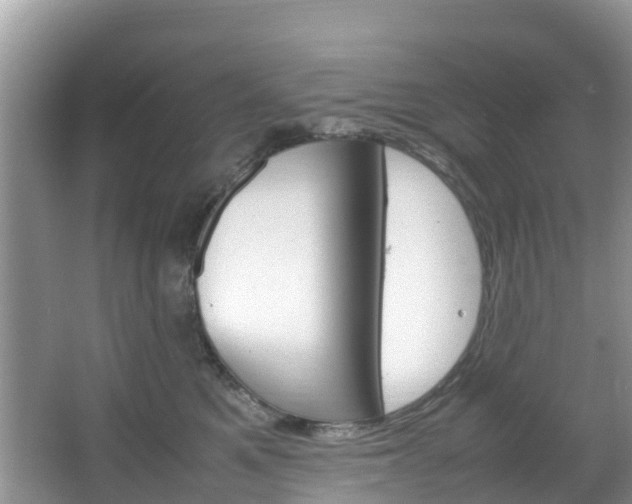 X0000066940521200603240938