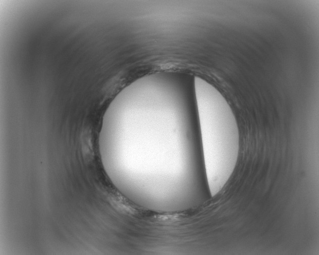 X0000066940524200603240938