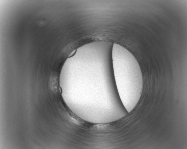 X0000066940526200603240938