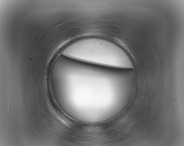 X0000066940535200603240937