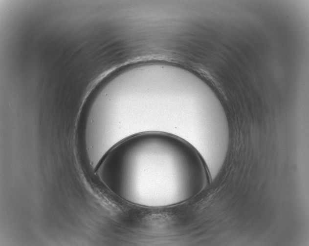 X0000066940536200603240937
