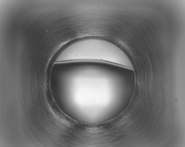 X0000066940540200603240937