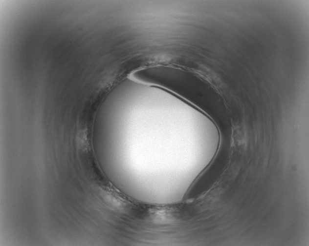X0000066940564200603240937