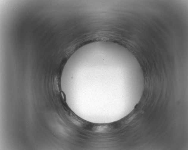 X0000066940575200603240938