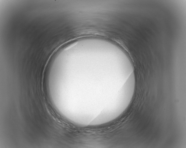 X0000066940579200603240937