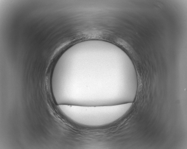 X0000066940583200603240937