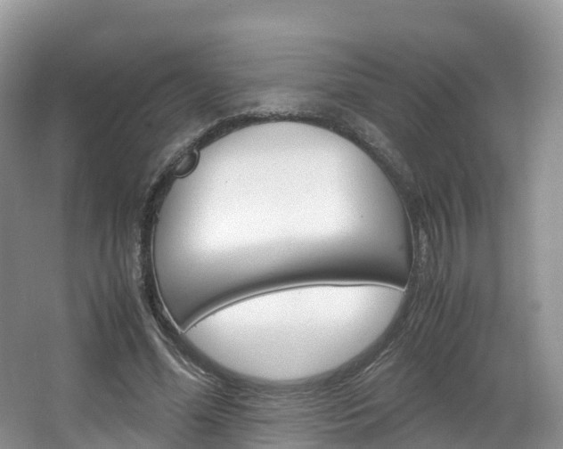 X0000066940588200603240937