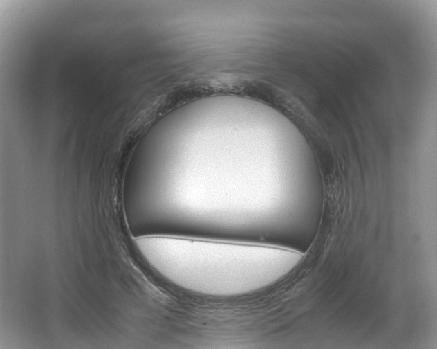 X0000066940593200603240936