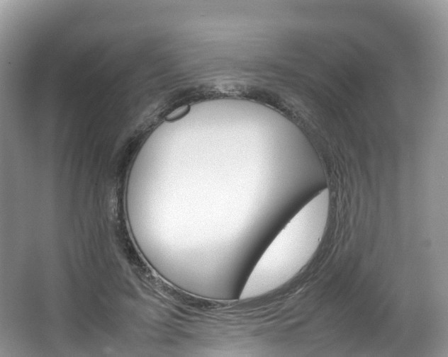 X0000066940595200603240936