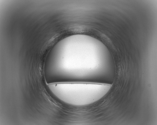 X0000066940596200603240936